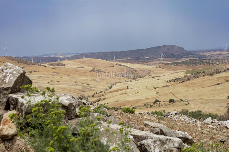 Foto 9929f471-0fa6-48a1-a201-de606d83e8f3. Terrain résidentiel dans Ardales