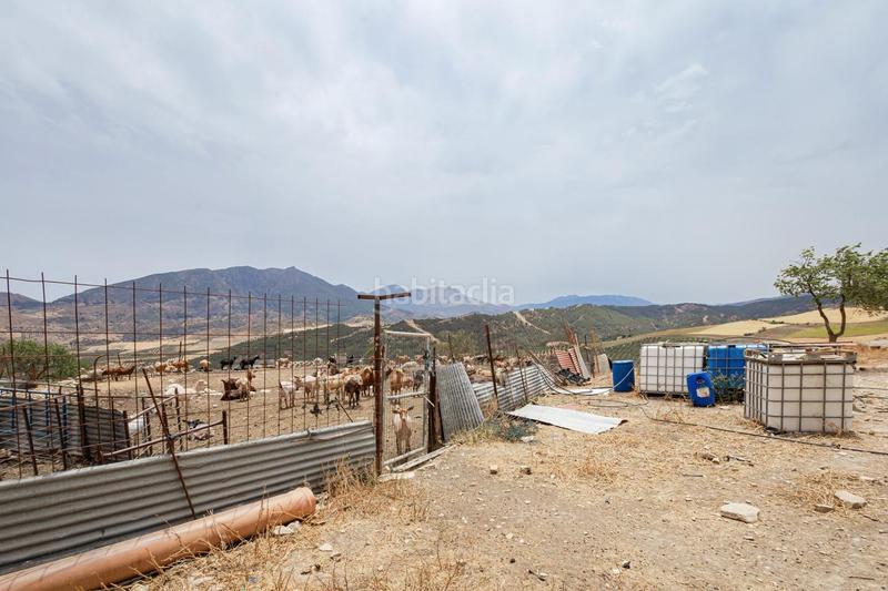 Foto a620d074-1269-41bc-94a3-68eb3a6e0c62. Terrain résidentiel dans Ardales