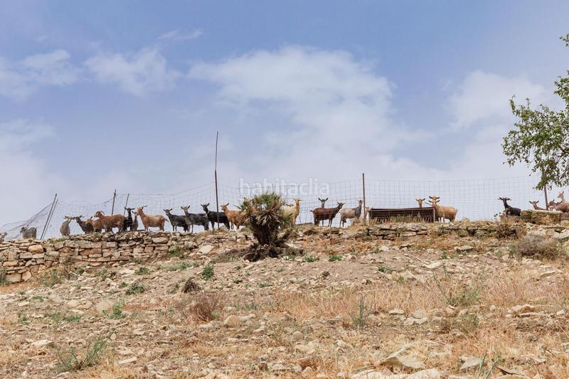 Foto c013a684-21de-46ec-9c12-ccbfc7953d72. Terrain résidentiel dans Ardales