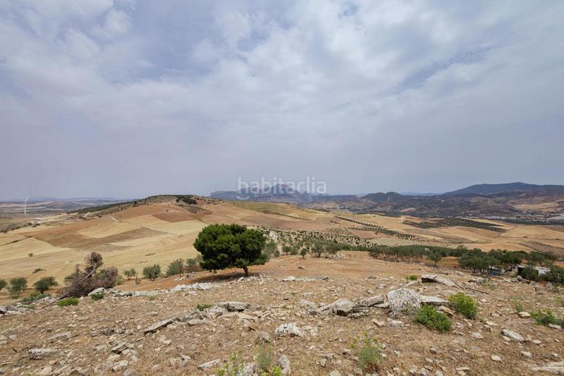 Foto c8d1c42f-f3c3-4025-888e-c417d051b2f0. Terrain résidentiel dans Ardales