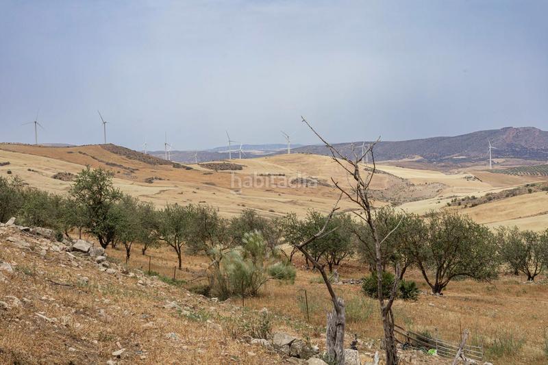 Foto c964ff96-d224-48dc-b071-be18e5968112. Terrain résidentiel dans Ardales