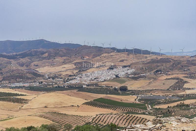 Foto d33fa6c6-46e7-4eba-a193-73d4eac48591. Terrain résidentiel dans Ardales