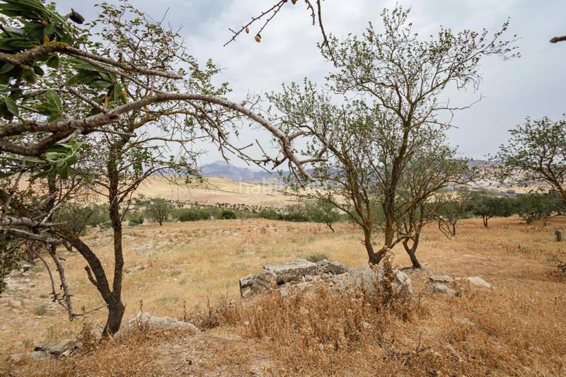 Foto ec26ecde-90b9-4017-83a7-01b69fb9eba5. Terrain résidentiel dans Ardales