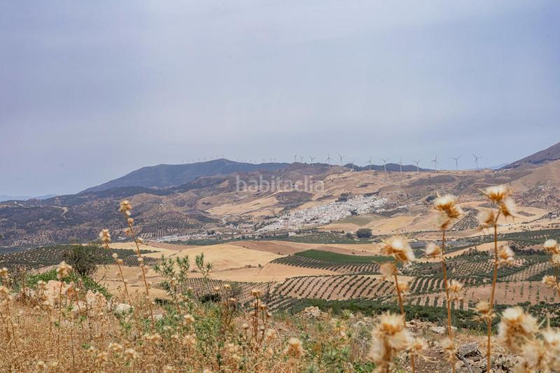 Foto f682be7a-9a68-44b9-b760-97ce0fefeb56. Terrain résidentiel dans Ardales