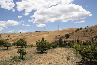 Masia  Ctra málaga-campillos. Casa rural en entorno de ensueño