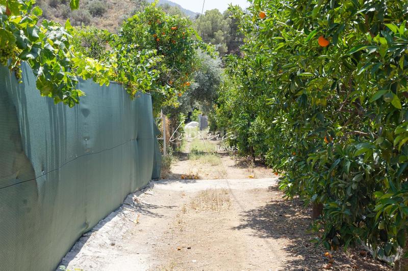 Foto 09835287-47c4-475d-87c7-37bb6462ff2e. Propriété dans Ardales