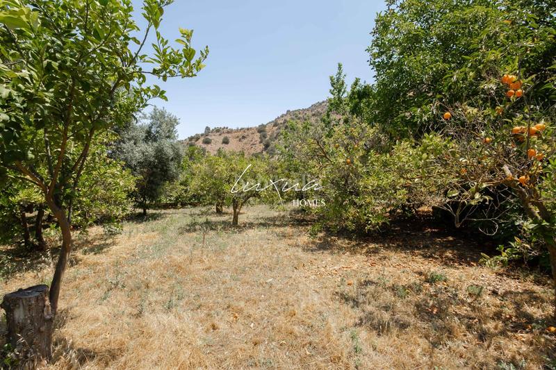 Foto 7e8b86a8-d2a0-4c11-80ad-ffe31cf5b8c0. Propriété dans Ardales