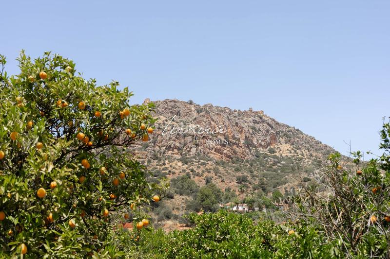 Foto 8e477050-cf32-4903-96fe-f1d56e202f6a. Propriété dans Ardales