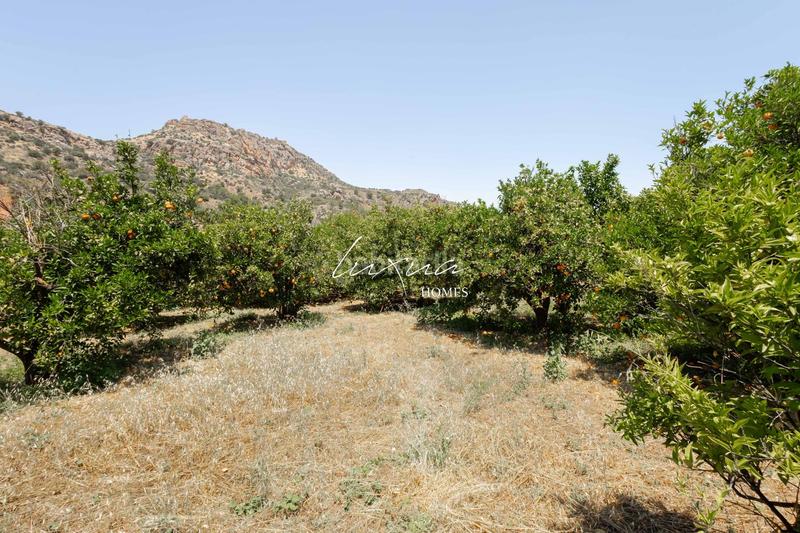 Foto 961ff0ce-f743-4e80-8a88-64bdcc752af0. Propriété dans Ardales