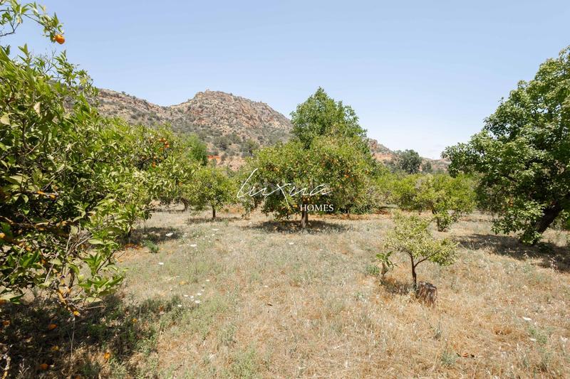 Foto a0617d03-48e1-4378-ab58-db7594675cb5. Propriété dans Ardales