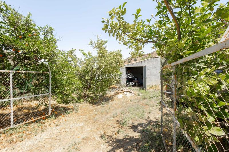 Foto b9a63845-3c1b-42d5-b41b-df2bd3c266da. Propriété dans Ardales