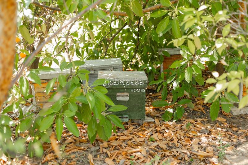 Foto c80da0ae-c540-4348-8d34-6e1235adb93d. Propriété dans Ardales