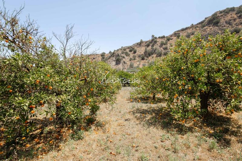 Foto e8769d18-1735-4263-93fd-5fc7971d609c. Propriété dans Ardales