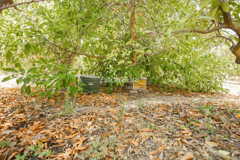 Foto fea7bbe7-ffce-4f4f-a1f1-f8f449280a58. Propriété dans Ardales