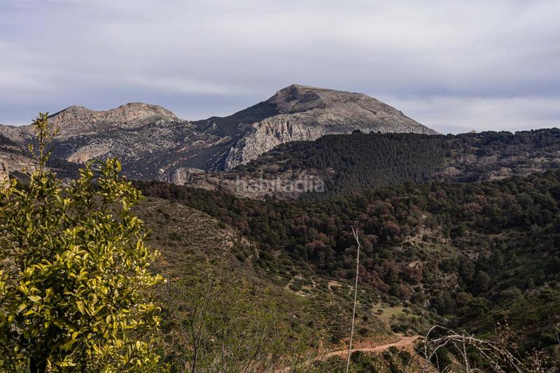 Foto 126682ea-c7e3-45f0-a49c-b6a99137c6dc. Terrain résidentiel dans Ardales