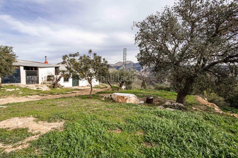 Foto 22957ea5-9cbd-45bd-9063-ff94f9510f22. Terrain résidentiel dans Ardales