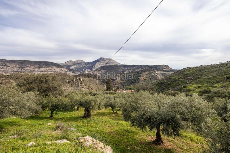 Foto 30c15c8e-e5be-458f-a142-09ebe54158e2. Terrain résidentiel dans Ardales