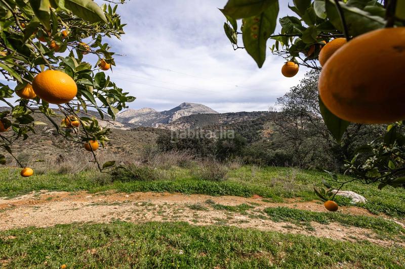 Foto 3cdea887-c6e6-47d5-a600-073d2ed850d9. Terrain résidentiel dans Ardales
