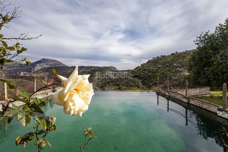 Foto 3e83d734-4cfc-48b7-a0c0-27609a506c6d. Terrain résidentiel dans Ardales