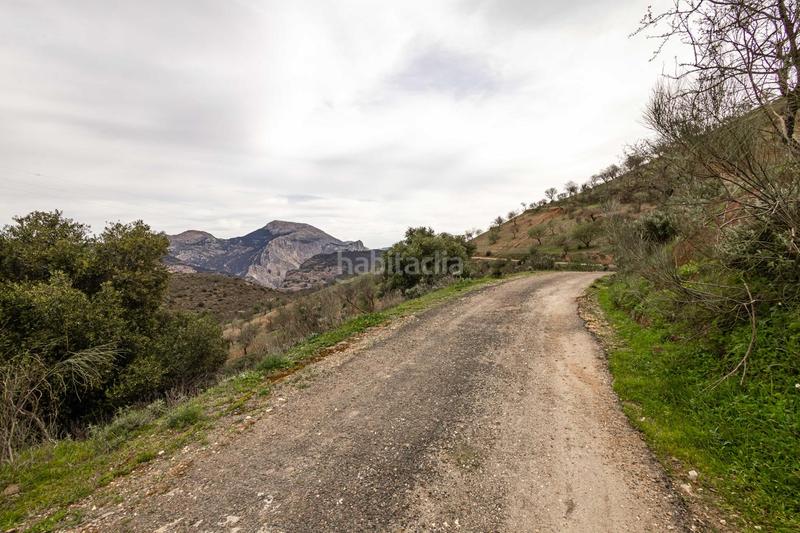 Foto 58dae8fc-eddb-496c-aedc-f8c688ed6fda. Terrain résidentiel dans Ardales