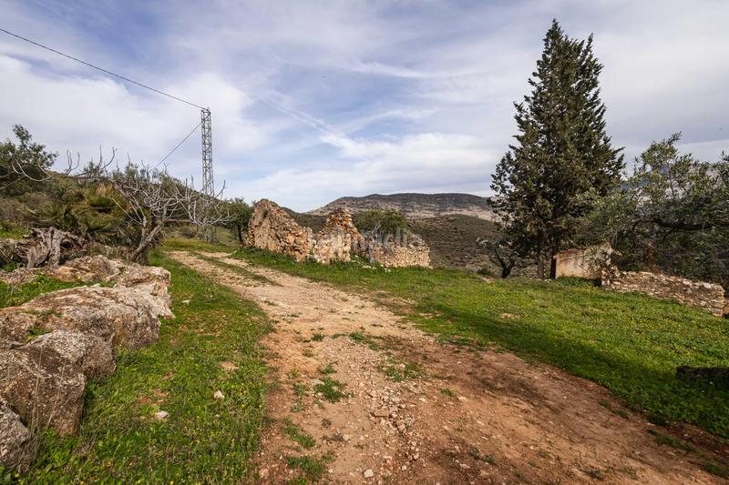 Foto 64990347-9032-4ffb-8645-fcb3c9d00d8c. Terrain résidentiel dans Ardales