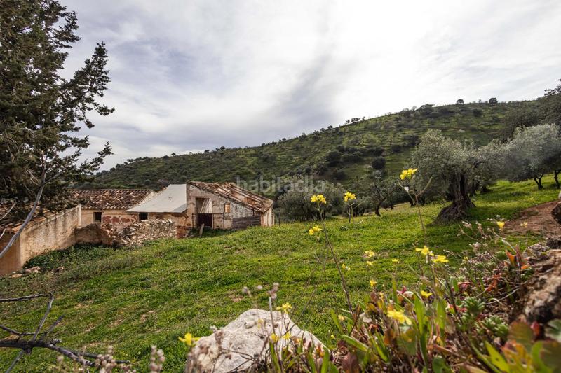 Foto 744583be-fb47-4258-bdeb-5f960e335171. Terrain résidentiel dans Ardales