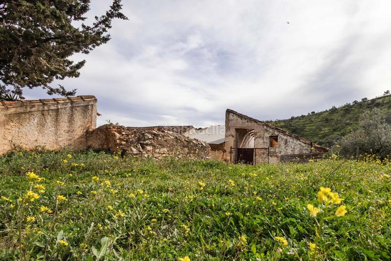 Foto 820468c9-461f-4027-b9a0-27d5d907a3a0. Terrain résidentiel dans Ardales