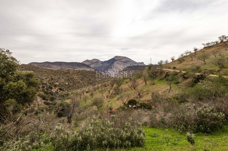 Foto cd34f1f2-c69a-412d-83e6-1c6b0cabd4c3. Terrain résidentiel dans Ardales