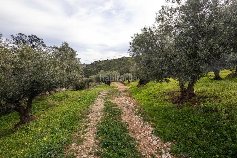 Foto cd5f2c61-5ce8-489b-a1be-5a9322a7f487. Terrain résidentiel dans Ardales