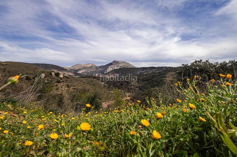 Foto dda84da9-5cfe-4470-a314-5a2989edb459. Terrain résidentiel dans Ardales