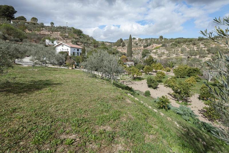 Foto 2de414d8-2337-4a79-ad59-ea143703947a. Casa  de campo en Ardales