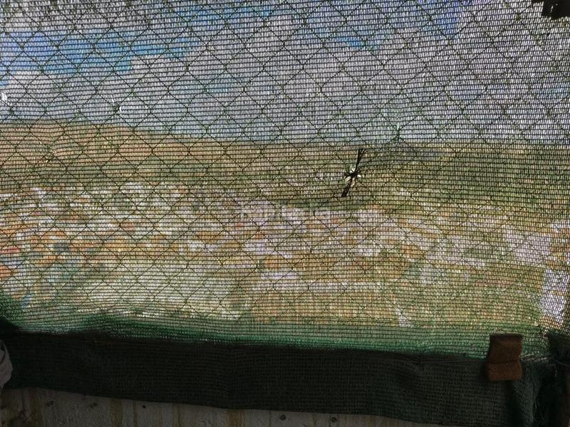 Foto 4c2fcce9-28b1-4e71-9b29-d5bd79a138ad. Maison dans mineta 2 dans Ardales