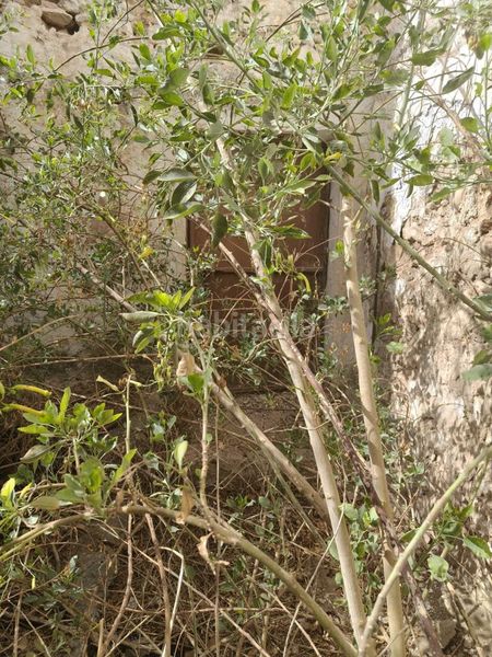 Foto 5d02ddd4-eaa6-4f38-aba8-7f0fd2a6d314. Maison dans Teba