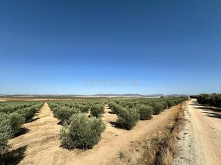 Terreny residencial a 29520 fuente de piedra, spain