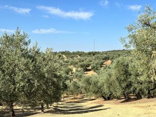 Wohngrundstück in Villanueva del Trabuco