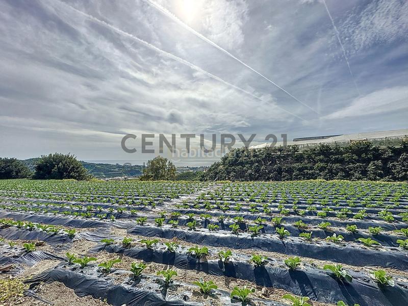 Foto 4bdd3b2c-66ea-43c1-abb0-e1838c6504c1. Terreno residencial en Algarrobo pueblo Algarrobo