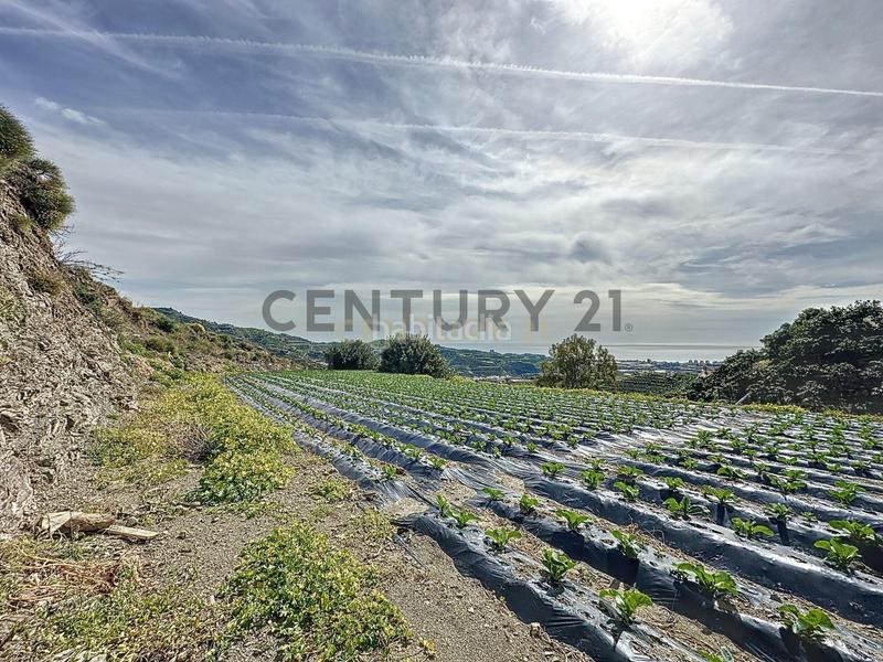 Foto 9313e7fb-9098-4abb-902c-d529c4003d67. Terreno residencial en Algarrobo pueblo Algarrobo
