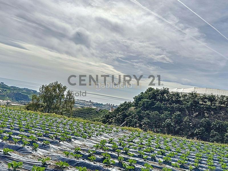 Foto af0c94aa-1a45-4c42-a96a-33602473b324. Terreno residencial en Algarrobo pueblo Algarrobo