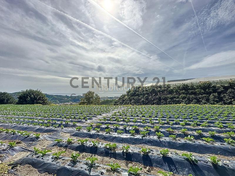 Foto e1a0d04d-99ea-4698-ba5c-6a2804ee9087. Terreno residencial en Algarrobo pueblo Algarrobo