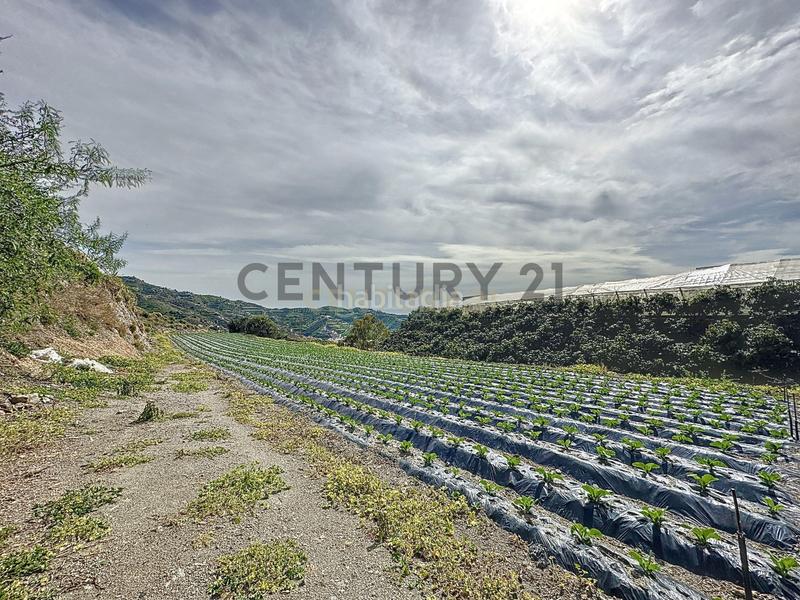 Foto e6e2910b-e07a-4389-bc83-e8f8ad32375f. Terreno residencial en Algarrobo pueblo Algarrobo