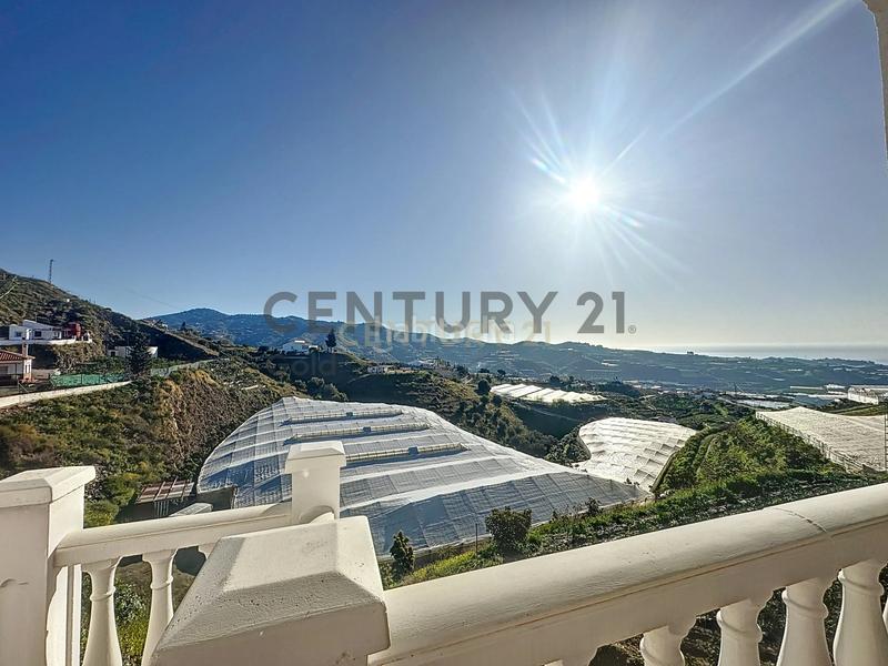 Foto 10420bd9-08de-4863-880e-573651846701. Maison dans fuente ariza 1 dans Algarrobo pueblo Algarrobo