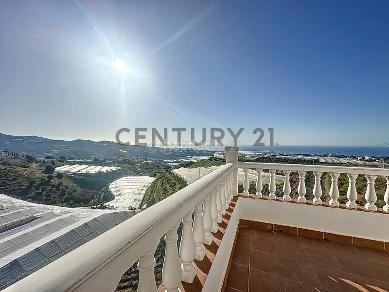 Foto d17acfba-e76a-4d45-a8d6-499d43954929. Maison dans fuente ariza 1 dans Algarrobo pueblo Algarrobo