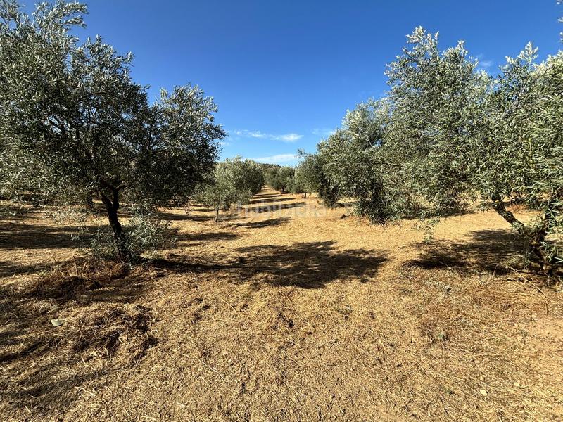 Foto 01406db0-d661-4697-acf3-65c07f6f3f32. Propriété dans polígono 1 dans Villanueva del Trabuco