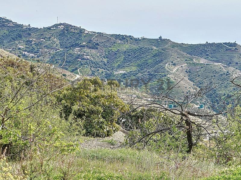 Foto 1ac2b233-fd0d-4e48-9d62-3dadd197220b. Fondo rustico in camino zarzaparrilla - fuente de ariza 183 in Algarrobo
