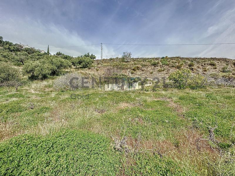 Foto 28f8c099-d936-415c-85cc-23f823cd0cdd. Fondo rustico in camino zarzaparrilla - fuente de ariza 183 in Algarrobo