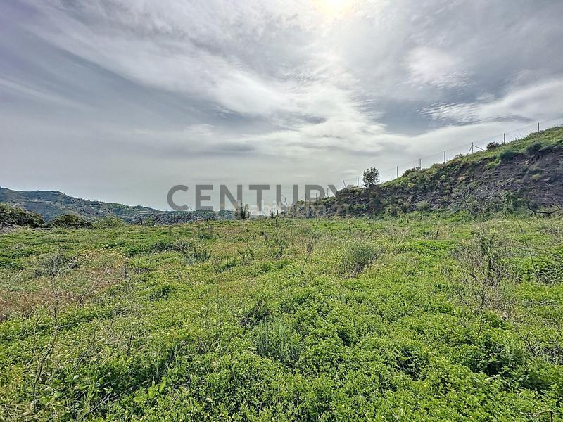 Foto 4b629143-fbce-4cf3-a89b-e4a53181757b. Fondo rustico in camino zarzaparrilla - fuente de ariza 183 in Algarrobo
