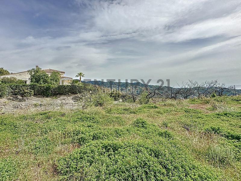 Foto 553ab9f1-f329-415a-a770-a045fc20f983. Fondo rustico in camino zarzaparrilla - fuente de ariza 183 in Algarrobo