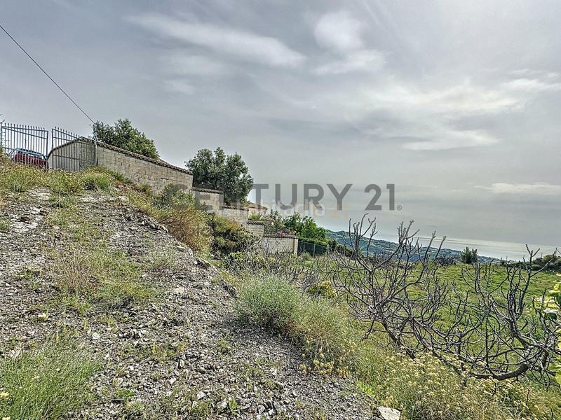 Foto 6beac624-2bf1-401a-ac5f-c8d7f1a2b146. Fondo rustico in camino zarzaparrilla - fuente de ariza 183 in Algarrobo