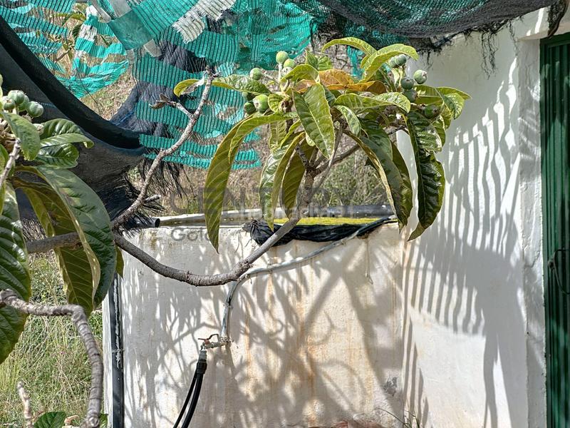 Foto 7b3afe9d-6bbf-403c-98d8-b04e320b5ce6. Fondo rustico in camino zarzaparrilla - fuente de ariza 183 in Algarrobo