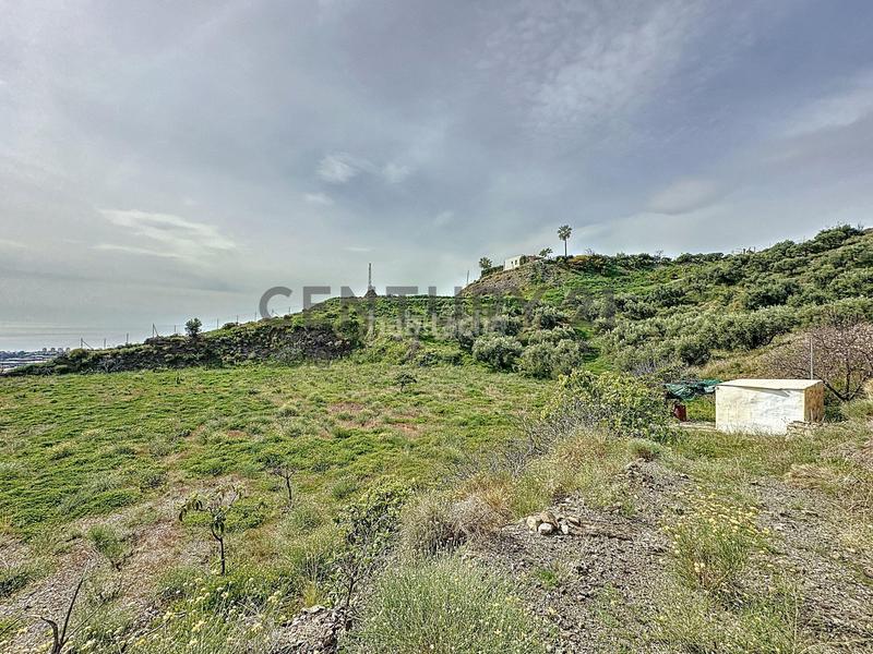 Foto 7c066a57-ae6a-4ab9-a5f4-cf3d1cd93882. Fondo rustico in camino zarzaparrilla - fuente de ariza 183 in Algarrobo